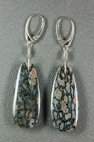 Grey-Blue Agatized Dinosaur Bone (Gembone) Earrings #54074